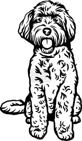 Foto de Labradoodle - Raza de perro, Archivo vectorial del perro divertido, Plantilla de corte, vector detallado - Imagen libre de derechos