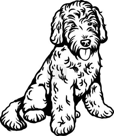 Labradoodle - Raza de perro, Archivo vectorial del perro divertido, Plantilla de corte, vector detallado