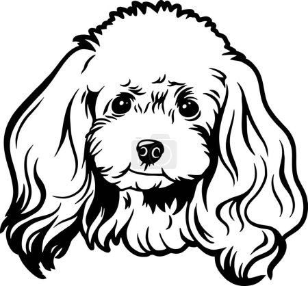 Téléchargez les illustrations : Caniche - Chiens drôles vecteur détaillé - Portrait vectoriel animal de compagnie, Pochoir de silhouette pour chien - en licence libre de droit