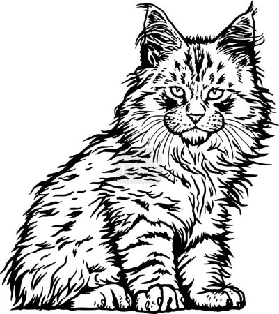 Maine Coon Cat, Cute Kitten - Cheerful kitty isolated on white - vector stock illustration