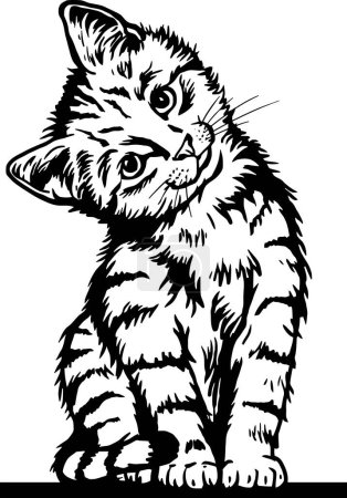 Foto de Peeking Cat - Funny Cat out - cabeza de la cara aislada sobre fondo blanco - Imagen libre de derechos