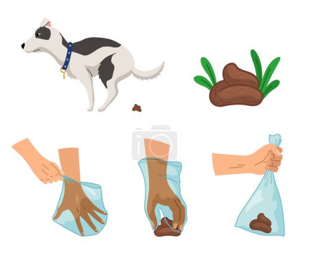 Illustration for Dog poo clean up steps infographic set. Vector poster about hygiene animal, toilet cleaning information after your dog. Pick up poo after pets, picking waste in canine bag and throw in the trash. - Royalty Free Image