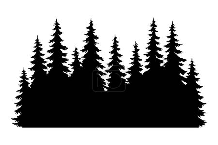 Illustration for Fir trees silhouettes. Coniferous spruce horizontal background patterns, black evergreen woods vector illustration. Beautiful hand drawn panorama with treetops forest. Black pine woods. - Royalty Free Image
