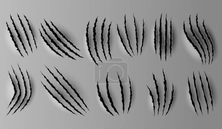Illustration for Bear or tiger claw marks. Scratches and torn traces of vector animal paw slashes. Hole in sheet of paper with torn edges. Vector illustration. - Royalty Free Image