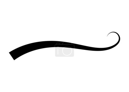 Swoosh typography text tail shape. Calligraphic decoration swish symbol. Retro underline, black stroke or ornament design vector illustration.