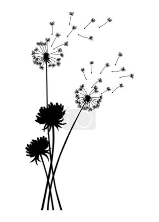 Löwenzahn weht im Hintergrund. Schwarze Silhouette mit fliegenden Löwenzahnknospen auf Weiß. Abstraktes fliegendes Saatgut. Dekorative Grafiken für den Druck. Florales Szenenbild.
