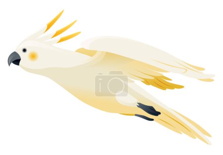 Téléchargez les illustrations : Animation perroquet. Exotique adorable vol de caractère faune. Cacatoès à crête de soufre blanc. Oiseau tropical animé volant. - en licence libre de droit