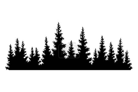 Illustration for Fir trees silhouette. Coniferous spruce horizontal background pattern, black evergreen woods vector illustration. Beautiful hand drawn panorama of coniferous forest. - Royalty Free Image