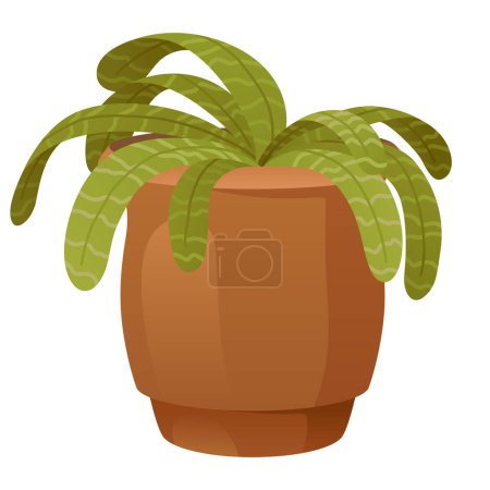 Withered wilted plant in pot. Foliage houseplant with dead dry leaves, sick ill leaf. Damaged dying spathiphyllum, faded flowers with disease. Flat vector illustration isolated on white background.