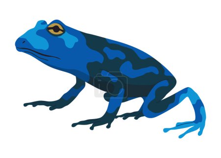 Frog or toad, amphibian animal. Type of froggy. Exotic tropical reptile. Flat vector illustration on white background.