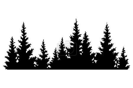 Fir trees silhouette. Coniferous spruce horizontal background pattern, black evergreen woods vector illustration. Beautiful hand drawn panorama of coniferous forest.