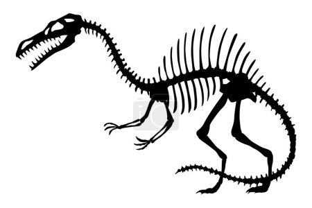 Dinosaurierskelett. Dino-Monster-Ikone. Gestalt eines echten Tieres. Skizze von prähistorischen Reptilien. Vektor-Illustration isoliert auf weiß. Handgezeichnete Skizze.