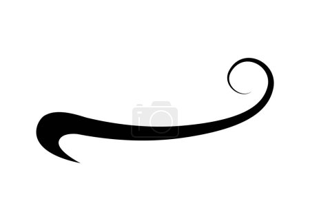 Swoosh typography text tail shape. Calligraphic decoration swish symbol. Retro underline, black stroke or ornament design vector illustration.
