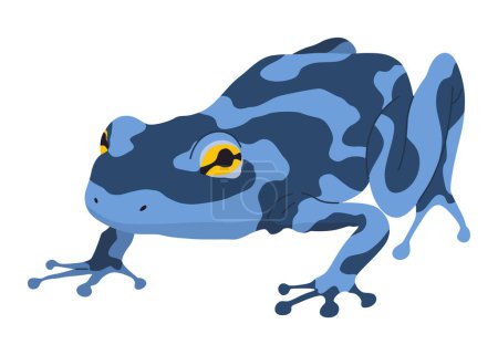Rana o sapo, animal anfibio. Tipo de rana. Reptil tropical exótico. Ilustración vectorial plana sobre fondo blanco.