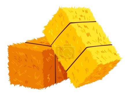 Golden color bale of hay. Bale of hay or straw isolated on white background. Flat dried haystack, farming haymow bale hayloft, agricultural rural haycock.