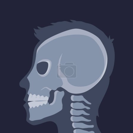 Human bones orthopedic and skeleton icon, bone x-ray image of human joints, anatomy skeleton flat design vector illustration.