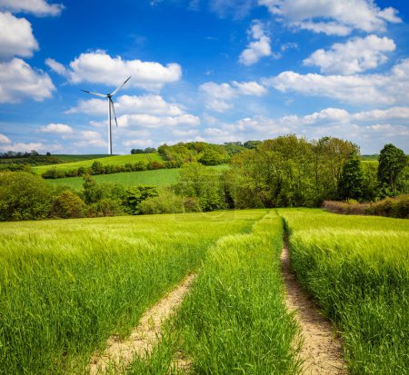 Foto de Zonas ecológicas verdes con turbina eólica protección del medio ambiente - Imagen libre de derechos