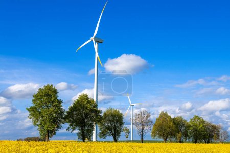Photo for Wind energy production mill in a rapeseed field - Royalty Free Image
