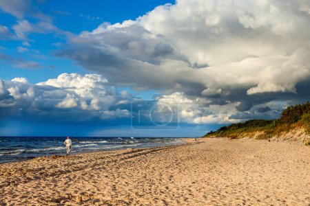 Téléchargez les photos : A walk on the beach on a cloudy day - en image libre de droit