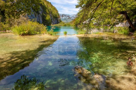 Foto de Agua dulce en la naturaleza pura Plitvice Lagos - Imagen libre de derechos