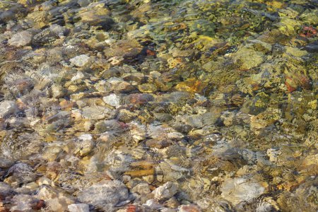 Foto de Mar claro transparente con piedras fondo natural - Imagen libre de derechos