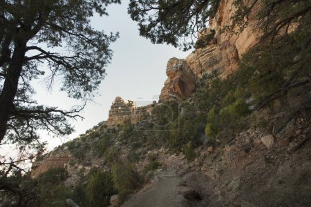 Téléchargez les photos : Vue panoramique du parc national du Grand Canyon, États-Unis - en image libre de droit