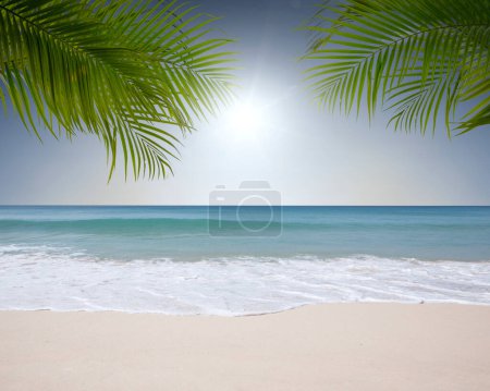 Foto de Vista de la bonita playa tropical con algunas palmeras - Imagen libre de derechos