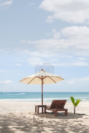 Téléchargez les photos : Vue de la belle plage tropicale avec quelques palmiers - en image libre de droit