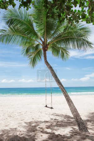 Téléchargez les photos : Vue de la belle plage tropicale avec quelques palmiers - en image libre de droit