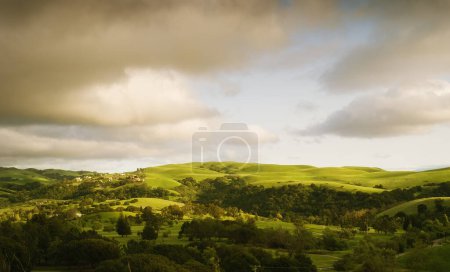 Téléchargez les photos : Vue panoramique de belles collines verdoyantes d'été sur fond de ciel bleu - en image libre de droit