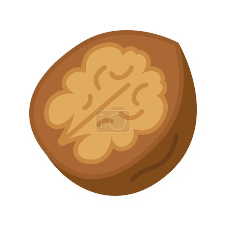 Illustration for Walnut nut icon. Walnuts in nutshell. Vector illustration isolated on white background. - Royalty Free Image