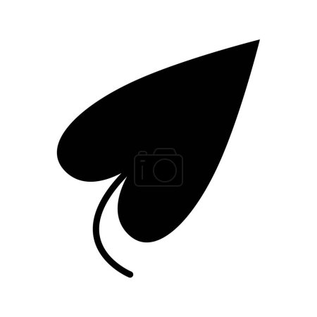 Caladium leaves icon. Tropical leaf of Caladium, isolated on a white background. Vector Illustration.