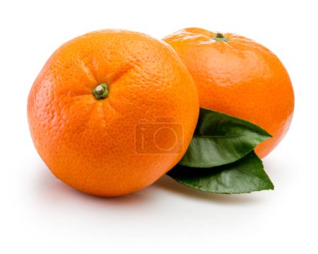Two ripe tangerine and green leaf isolated on a white background
