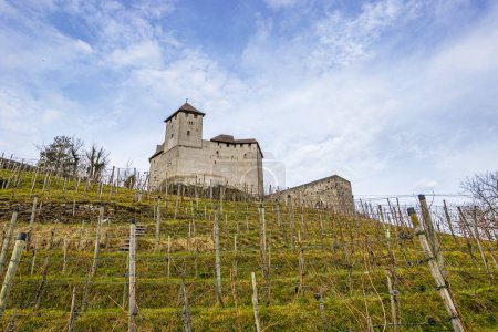 Foto de Landmark photo of Burg Gutenberg with wineyard and blue sky in winter time, Balzers, Liechtenstein - Imagen libre de derechos
