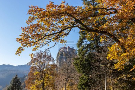 Téléchargez les photos : Château de Bled sur le rocher en automne par temps ensoleillé ciel bleu et arbres jaunes, photo de voyage à Bled, Slovénie - en image libre de droit