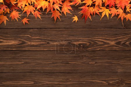 Téléchargez les photos : Fond en bois vintage avec bordure de feuillage d'érable d'automne - en image libre de droit