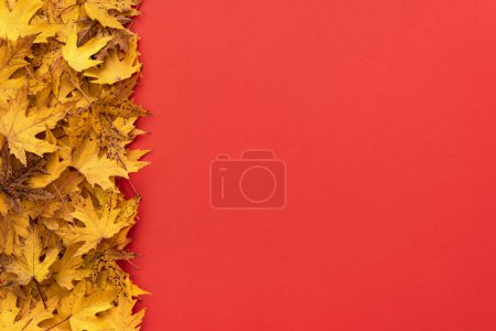 Téléchargez les photos : Arrière-plan d'automne rouge avec feuilles d'érable jaunes - en image libre de droit