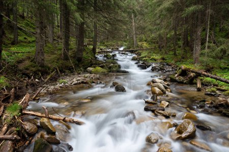 Téléchargez les photos : Rivière en cascade dans une forêt luxuriante de montagne au printemps - en image libre de droit