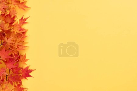 Téléchargez les photos : Fond jaune d'automne avec bordure feuillue - en image libre de droit