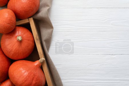 Téléchargez les photos : Récolte Orange citrouille Rouge Kuri alias Hokkaido squash ou Uchiki Kuri sur fond blanc - en image libre de droit