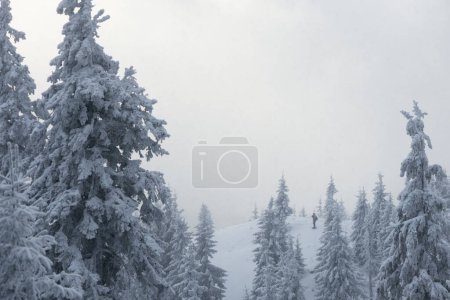 Téléchargez les photos : Homme Hiver Randonnée en raquettes dans les montagnes enneigées pendant les chutes de neige - en image libre de droit