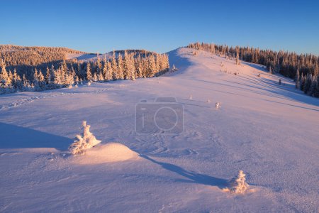 Téléchargez les photos : Paysage hivernal avec les premiers rayons de soleil matinaux dans les montagnes enneigées après une chute de neige - en image libre de droit