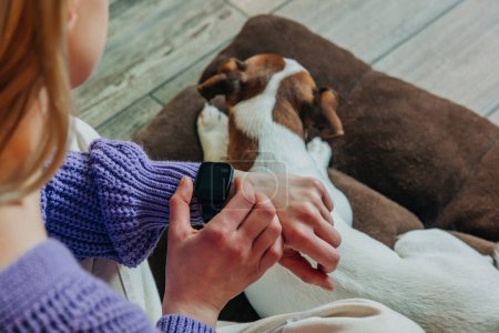 Téléchargez les photos : Woman in the purple sweater sits in armchair and checks the time on her wristwatch. Dog on background - en image libre de droit