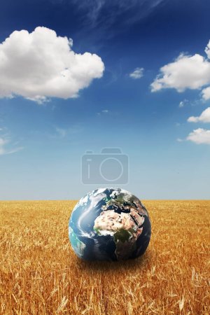 Téléchargez les photos : Planète Terre sur champ de blé, Concept écologique - en image libre de droit