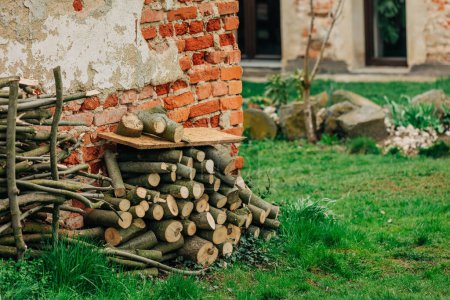 Téléchargez les photos : Grumes préparées pour l'hiver, empilées contre le mur dans le jardin - en image libre de droit