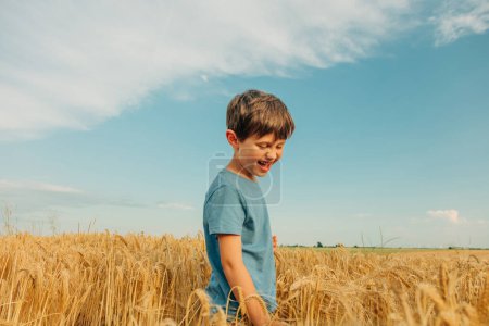Foto de Niño en camisa azul en campo de trigo amarillo en verano - Imagen libre de derechos