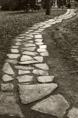 Téléchargez les photos : View of path of stones.black and white - en image libre de droit