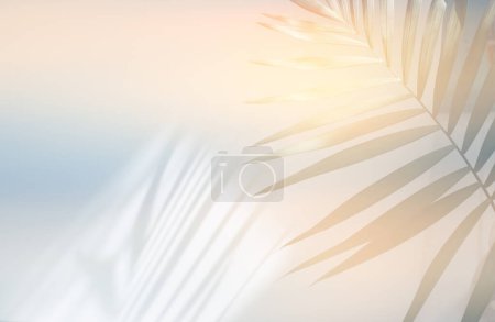 Photo for Soft focus blur Palm leaf and refraction wall. Light and shadow smoke abstract copy space background. - Royalty Free Image