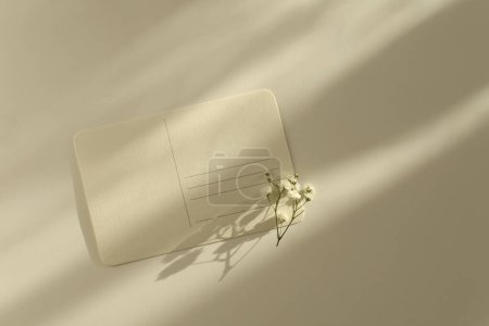 Foto de Tarjeta de papel de tela de textura en blanco vacía, flor con espacio de copia para su mensaje de texto. Plantilla de estilo minimalismo de luz y sombras fondo beige. - Imagen libre de derechos