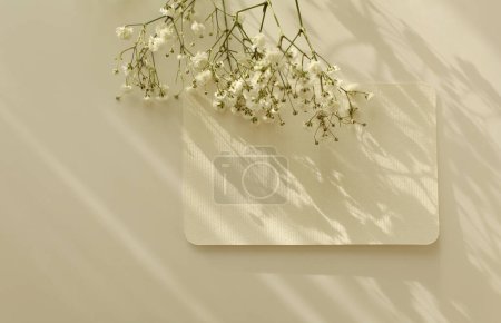 Photo for Empty Blank texture canvas paper card with copy space for your text message and gypsophila flower. Light and shadows minimalism style template background. Flat lay, top view. - Royalty Free Image